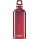 Sigg Traveler Metal Water Bottle