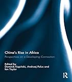 China's rise in Africa : perspectives on a developing connection