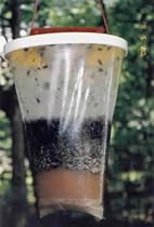 Flies Be Gone Fly Trap Kills Up To 20000 Flies Per Bag