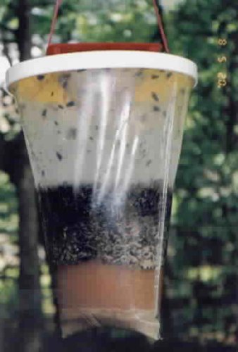 Flies Be Gone