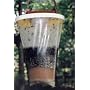 Flies Be Gone Fly Trap