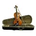 1/4 Violin Image