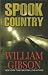 Spook Country (Thorndike Mystery)