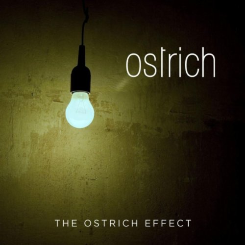 Ostrich-The Ostrich Effect-2012-FWYH Download