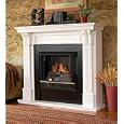 Ashley Jelled-Fuel Fireplace