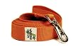 Designer Dog Leash - Bamboo Falling Leaves Single Layer Dog Leash - Orange - 3/4" Width - Made in USA