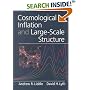 Cosmological Inflation and Large-Scale Structure