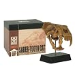 Sabertooth Cat Dinosaur Skull Fossil Model