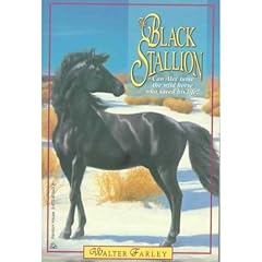 The Black Stallion