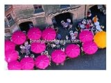 Umbrellas of Cafe, Innsbruck, Austria Photographic Poster Print by Chris Mellor, 40x30