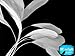Moonlight Feather | 1 Dozen - Bleached White Stripped Rooster Coque Tail Feathers Craft Costume Supply