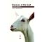 My World Of Goats
