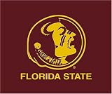 Biederlack Florida State Seminoles 60x50 Fleece Throw