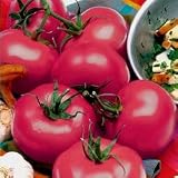 Tomato Seeds - Tomato Park's Razzleberry Hybrid