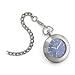 Skagen Stainless Steel Pocket Watch #104LSS