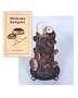 10" Shiitake Mushroom Log with the Shiitake Sampler Cookbook