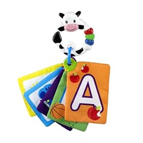 Baby Einstein Animal Discovery Traditional Flashcards