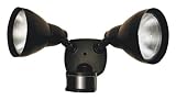 Black ENERGY STAR 17 2-Light Motion Sensor Security Light