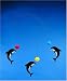 Baby : Flensted Delphinarium Dolphin Nursery Mobile