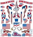 Stick-On Decal, Born in USA