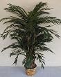 5 1/2' Deluxe Cycas Palm Tree on "Real Wood"