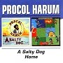 A Salty Dog/Home