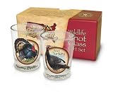 Wild Turkey Shot Glass Set