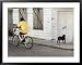 Boy Riding Bike in Front of House, with Stray Dog, Belize City, Belize Styles Framed Art Poster Print by Anthony Plummer, 39x31