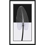 Calla Leaf I Framed Lithograph by Steven Meyers - 29.1x17.1