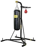 Everlast Heavy Bag & Speed Stand