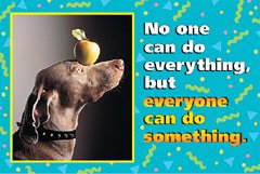 POSTER NO ONE CAN DO EVERYTHING 13 X 19-1/2