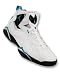 NIKE AIR JORDAN TRUE FLIGHT 342964-142 (10, WHITE/BLUE/BLACK)
