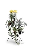 Two level Antique Plant Display Stand