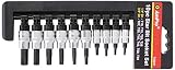 AMPRO T33241 Star Bit Socket Set T10 T55, 10-Piece [並行輸入品]