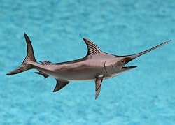 Taxidermy Quality Fiberglass 12" Swordfish Wall Mount