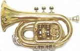 Pocket Trumpet - Gold Color Lacquer - Plated w / Case - B001CRHQT8