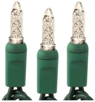 M5 100 Count Warm White LED Christmas Lights