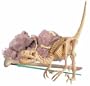 Dig A Dino Kit - Brachiosaurus