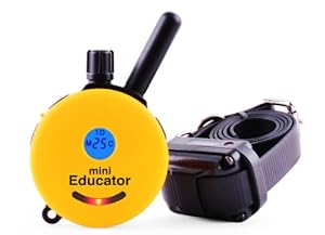 Educator ET-300TS Mini E-Collar 1/2 Mile Remote Dog Trainer