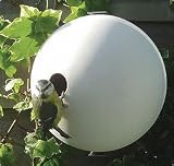 Review The Urban Garden  / ceramic wall mounted bird ball - stylish bird house - 17cm dia