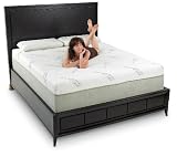 EnviroTech® 10 EcoMemory Foam Mattress Twin