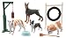 My Best Friend Dog Playset Doberman Bull English Bull dog Pit Bull with Accessories_s-1