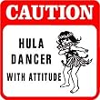 CAUTION: HULA DANCER fun hawaii trip sign