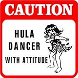 CAUTION: HULA DANCER fun hawaii trip sign