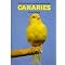 Exotic Bird Books