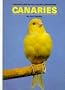 Canaries