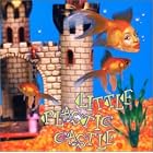 Click here to buy  Little Plastic Castle (+1 Bonus Track)  by  Ani DiFranco .