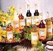 Monin Chocolate Sugar-Free Syrup