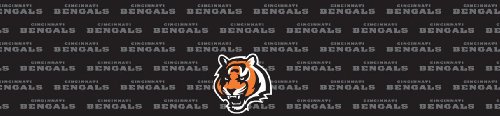 Cincinnati Bengals Team Auto Visor Decal