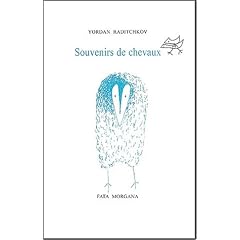 Souvenirs de chevaux